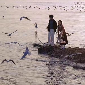 美女黄色免费网站
