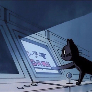 美女黄色免费网站
